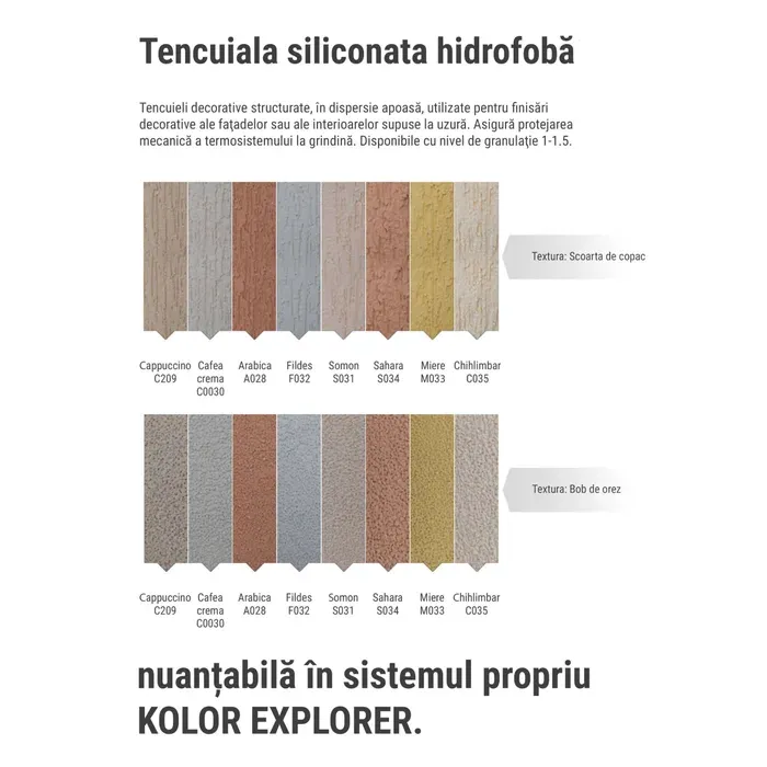 siliconata_1_5 (1).webp