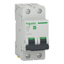 Intreruptor automat 2P 4500 A C 10A Easy9 Schneider