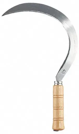 [273300] Secera cu muchie dintata-30cm Leborgne